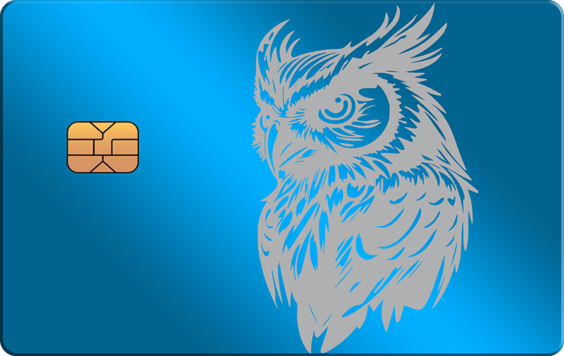 Owl 3